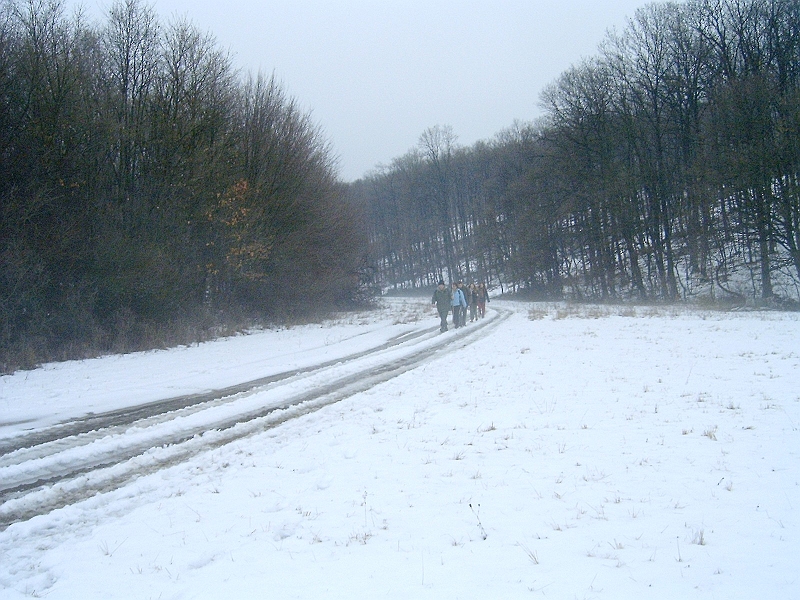 20100220 032.jpg